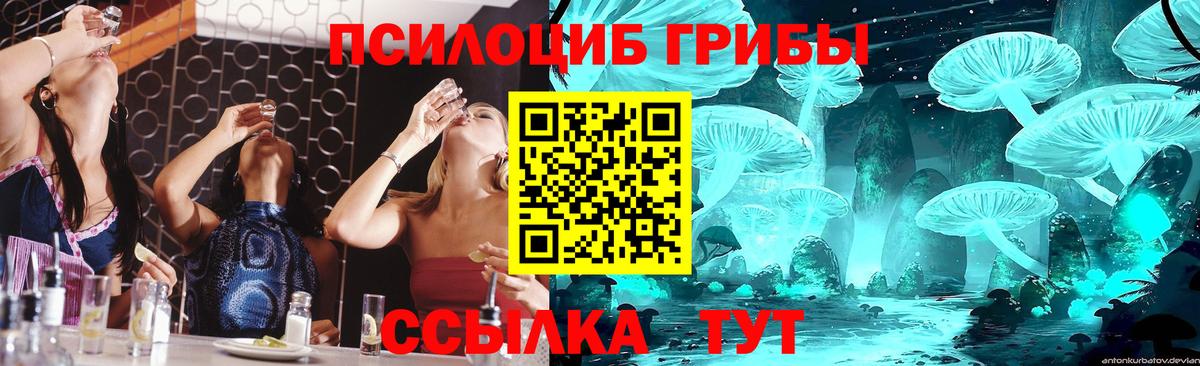 Галлюциногенные грибы мицелий Кыштым